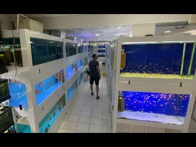 Тошкентдаги энг катта аквариум балик магазиндан бири AQUA FISH CENTER