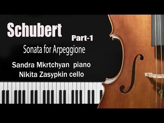 Sonata for Arpeggione  Schubert Part 1