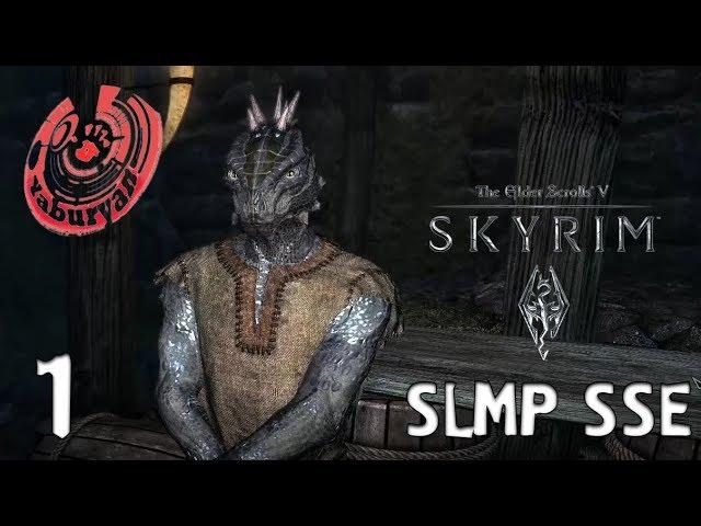 ПРИКЛЮЧЕНИЯ ПАНКА-АРГОНИАНИНА. SKYRIM SLMP SSE #1