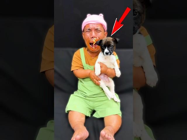 ToRung short film: puppy rescue️