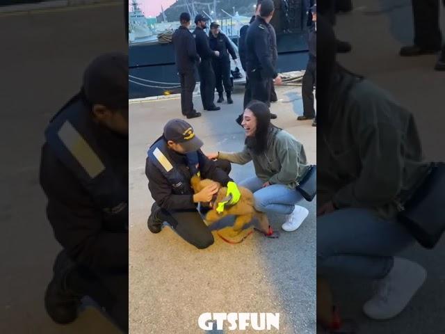 Puppy  overwhelmed when owner returns    GTSfun