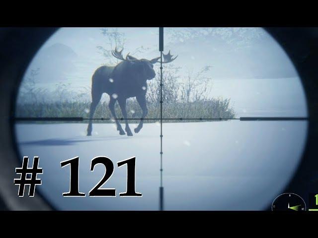 Мир охоты theHunter Call of the Wild  # 121