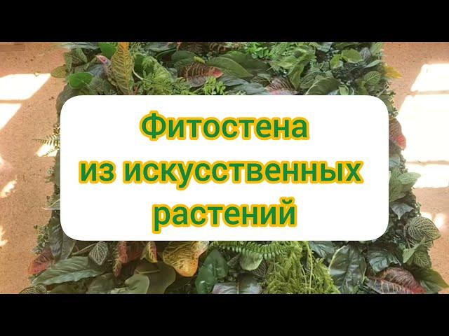 Фитостена из искусственных растений