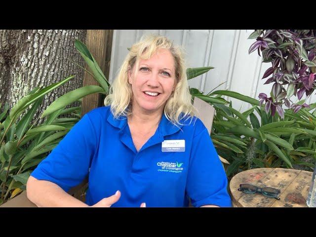 iiiiiivvivii Additional Praise | Cate | President and CEO | Apopka FL Chamber of Commerce