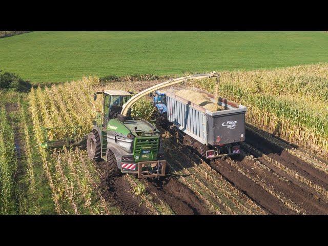 The most powerful forage harvester of Belgium in the mud | Mais 2021 | Krone Big X1180