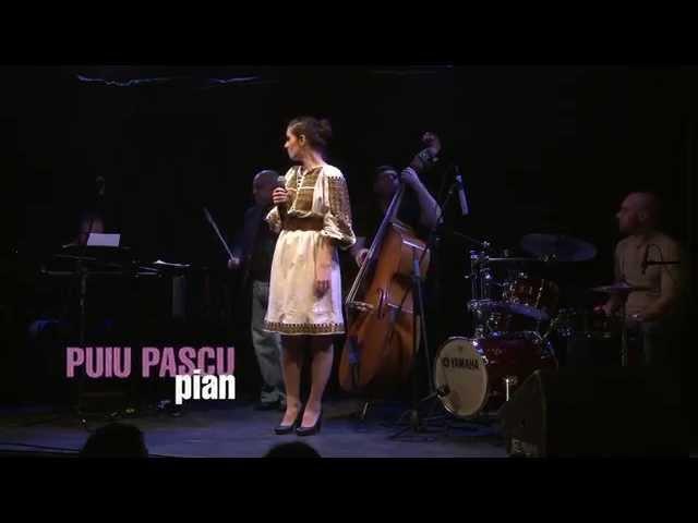 Irina Sarbu Band - Sunt vagabondul vietii mele