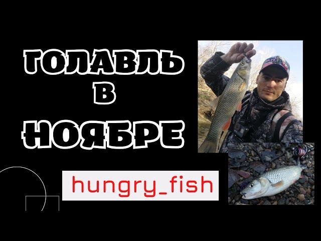 СИЛЬНАЯ РЫБА!!! ГОЛАВЛЬ в НОЯБРЕ!! #голавль #абин #река #luckyjohn #daiwa #fishing #november