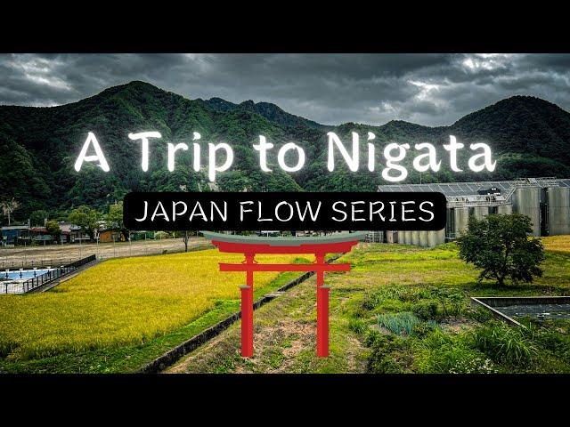 A Trip to Niigata - JAPAN FLOW SERIES | Life in Japan 2022