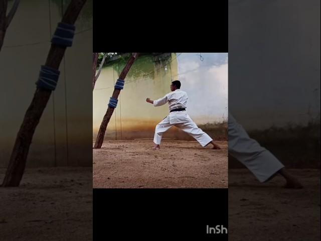 Mawashi Geri (kick ) practice #vairalshortvideo