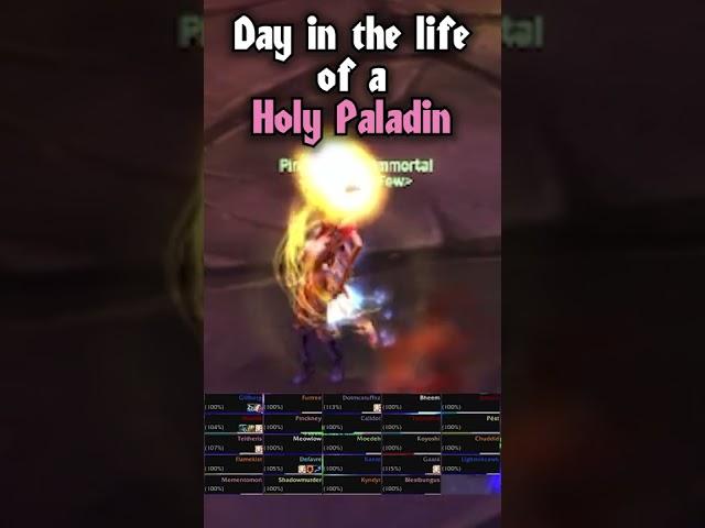 Day in the Life of a Holy Paladin