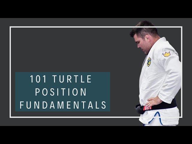 101 Turtle Position Fundamentals