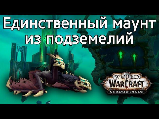 Единственный уникальный маунт из подземелий World of Warcraft: ShadowLands