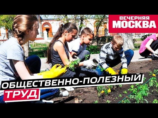 Общественно-полезный труд может стать обязательным для школьников