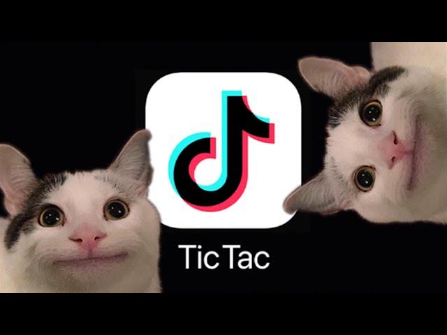 If Beluga owned TikTok...