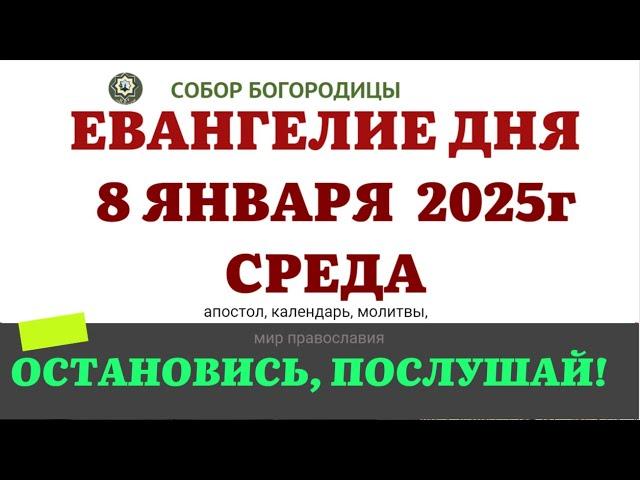 8 ЯНВАРЯ СРЕДА ЕВАНГЕЛИЕ АПОСТОЛ ДНЯ  2025 #евангелие