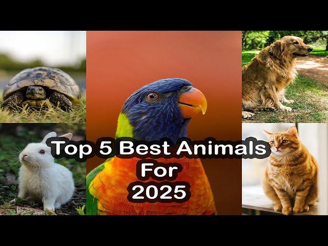 Top 5 Best Pets for 2025 | Easy Pets for Home and Beginners!