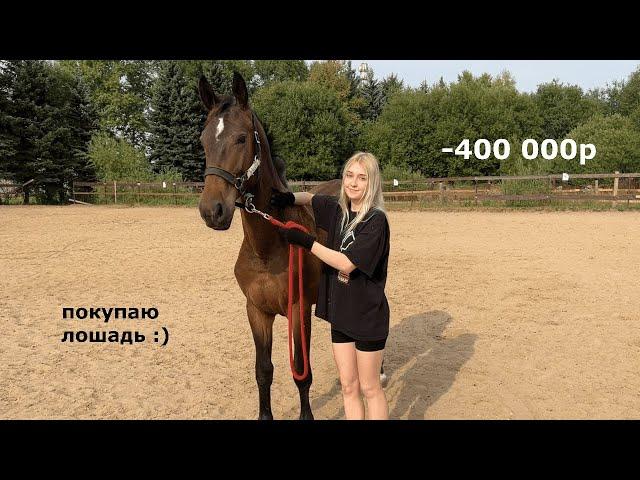 я купила ЛОШАДЬ