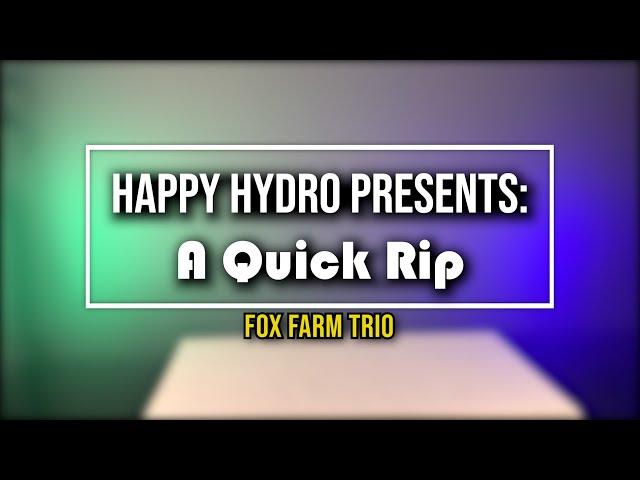 FoxFarm Trio Nutrients | Happy Hydro Mini Series: A Quick Rip