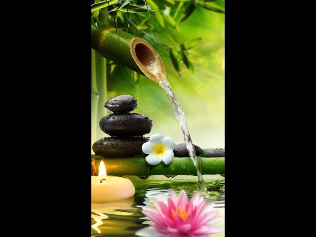 Relaxing Music Bamboo Water Fountain Meditation Music Sleep Music Piano Music Stress Relief Music