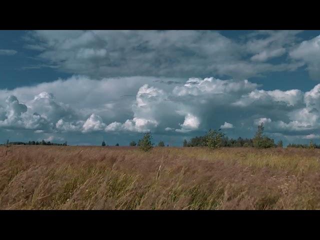 ПОЛЕ И ОБЛАКА _ Футаж _ FIELD AND CLOUDS _ Footage_ (4К_Ultra HD)