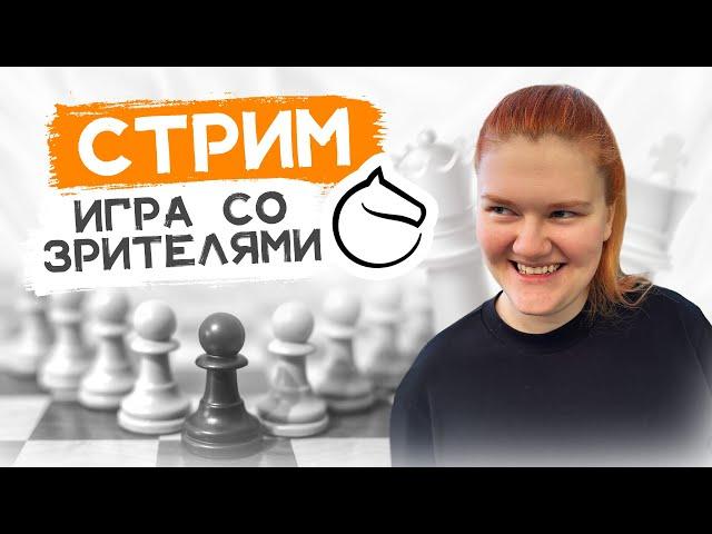 Играю в шахматы, комментирую и общаюсь с чатом