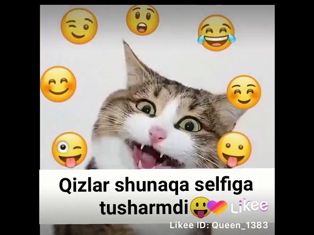 Qizlar shunaqa selfi qilarmidi