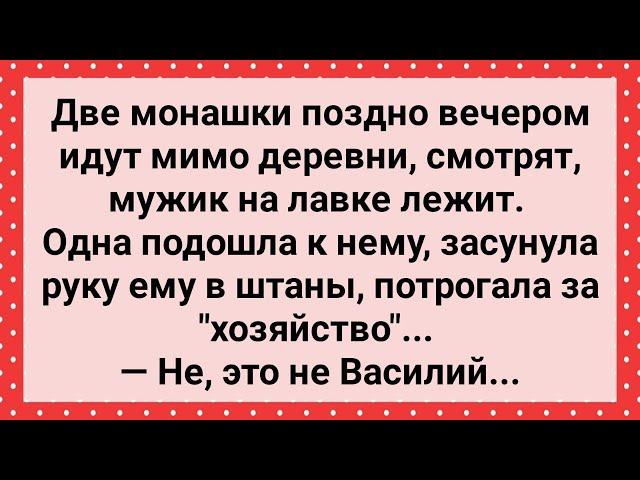 Монашка Засунула Руку Мужику в Штаны! Сборник Свежих Анекдотов! Юмор!