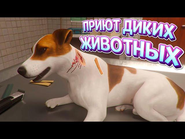 ПРИЮТ ДИКИХ ЖИВОТНЫХ ( Animal Shelter )