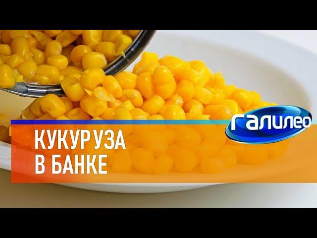 Галилео  Кукуруза в банке