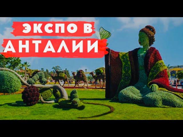 Выставка EXPO в АнталииЛучшие павильоны  Куда сходить  в Анталии️#slavaistek