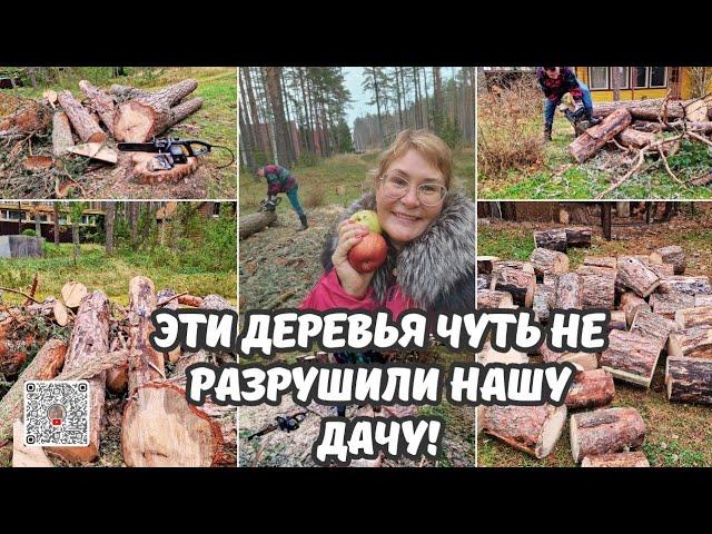 Эти деревья чуть не разрушили нашу дачу!Устраняем хаос,распил упавших деревьев.Устали, но счастливы