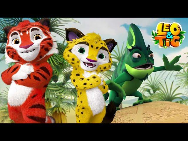 LEO and TIG   The Best Runner  NEW EPISODE  Moolt Kids Toons Happy Bear