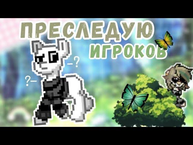 //️ПРИСЛЕДУЮ ИГРОКОВ В PONY TOWN \\ #andy  #ponytown