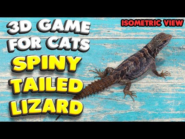 3D game for cats | The spiny-tailed LIZARD (isometric view) | 4K, 60 fps, stereo sound