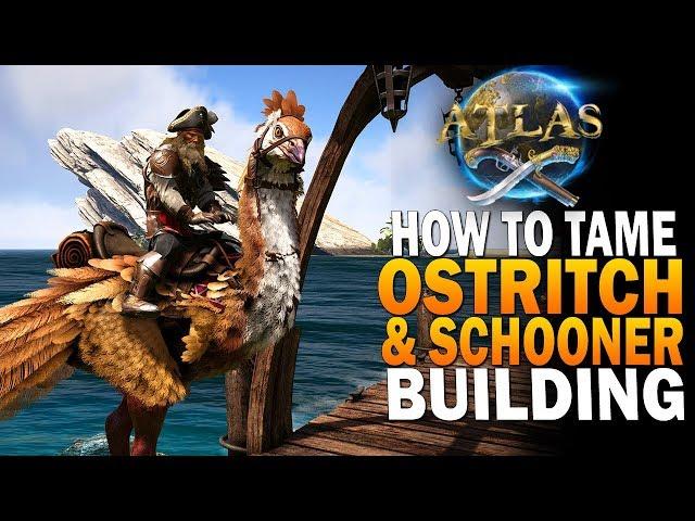 How To Tame An Ostrich In Atlas! Atlas Pirate Survival MMO Gameplay E3 [Private Server]