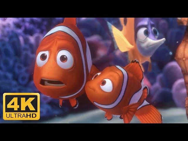 Finding Nemo (2003) Nemos First Day at School, Nemo goes to School (Remastered 4K 60FPS)