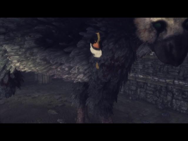 НЫРЯЙ!! [#13 The Last Guardian]