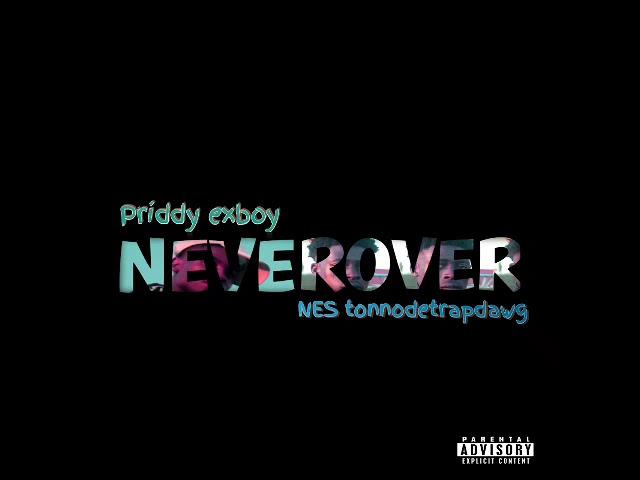 TRAPDAWG LOOKS - NEVEROVER (feat.Priddy yungest)(official Audo)