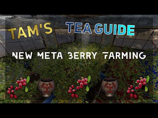 Rust | Tam's Tea Guide (Berry Farming)