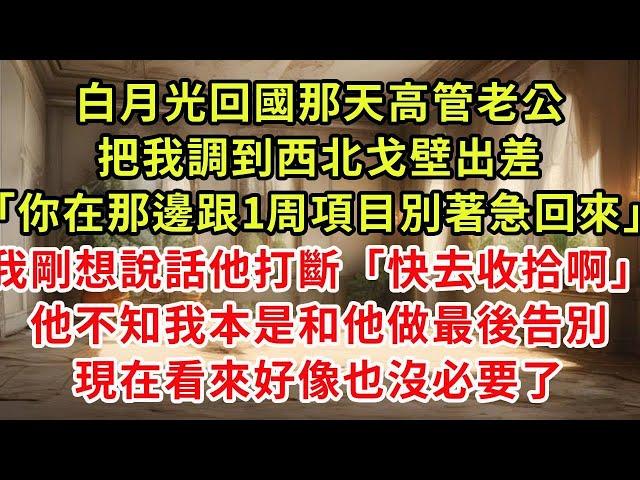 白月光回國那天高管老公，把我調到西北戈壁出差「你在那邊跟1周項目別著急回來」我剛想說話他打斷「快去收拾啊」他不知我本來是和他做最後告別，現在看來好像也沒必要了#復仇 #逆襲 #爽文