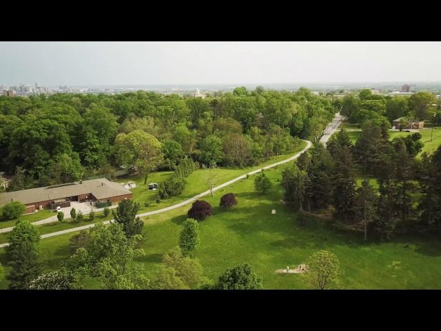 Mavic Druid Hill DGC