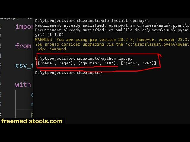 How to Convert CSV to Excel File using openpyxl in Python