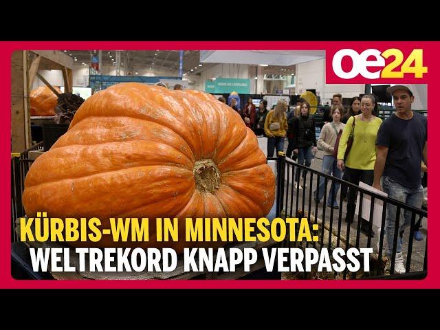 Kürbis-WM in Minnesota: Weltrekord knapp verpasst