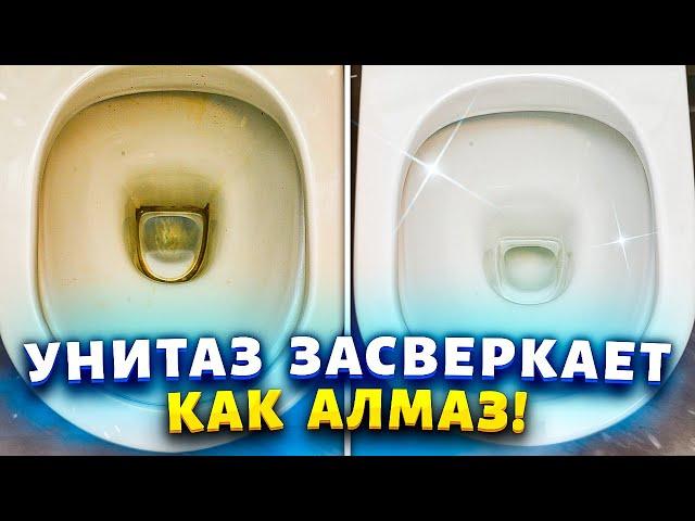 Лайфхак от сантехника — и про ершик можно забыть! #лайфхаки #рецепты #хитрости #совет