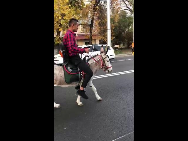 Кайфуем по городу на Lamborghini