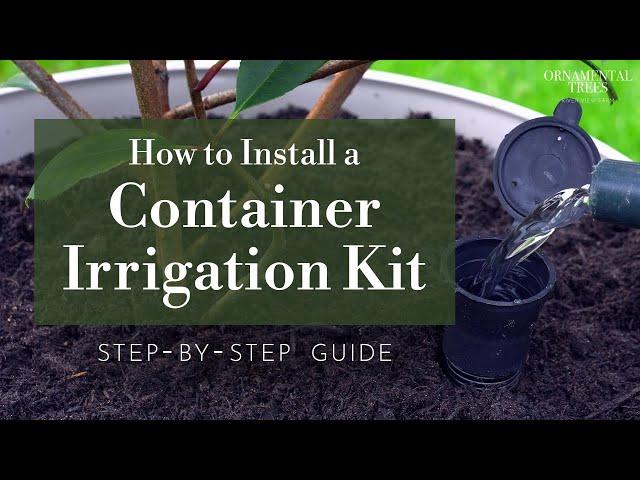 How to Easily Install an Irrigation Kit for Trees Planted in Containers | Tree 101