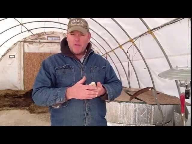 Anyone Can Homestead Pastured Poultry Course - Contact the Farm for Classes
