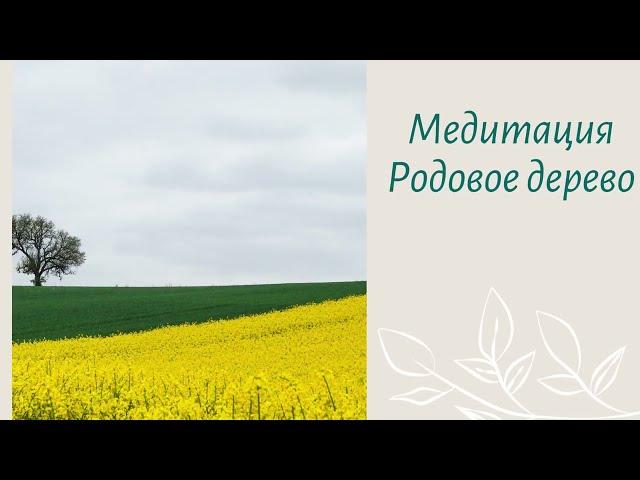 Медитация Родовое дерево