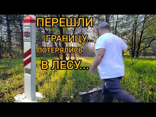 #vlog ПЕРЕШЛИ ГРАНИЦУ//ПОТЕРЯЛИСЬ В ЛЕСУ // ГОТОВИМ ГРИБЫ// ЖИЗНЬ В СВОЕМ ДОМЕ В СЕРБИИ. №52