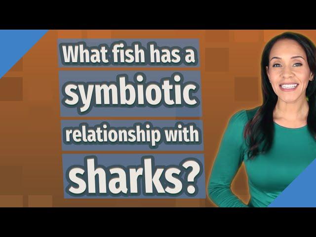 What fish has a symbiotic relationship with sharks?